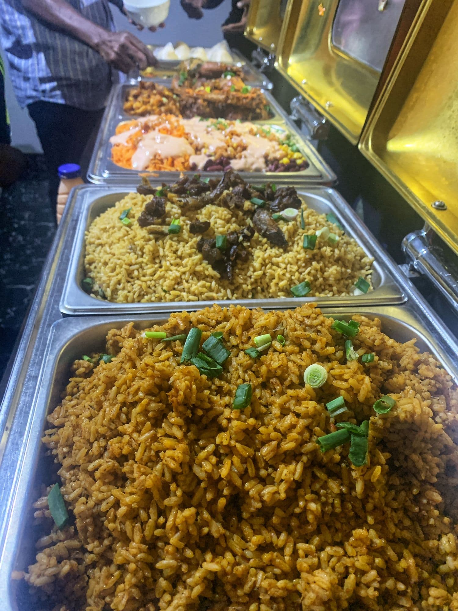 Freshly made rice dishes garnished with spring onions